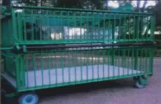 Cages 2.webp