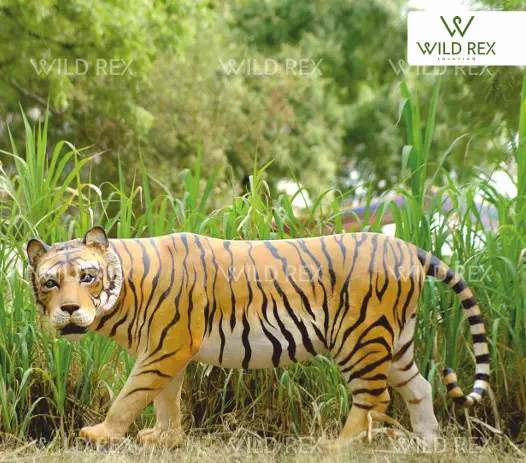 Tiger.webp