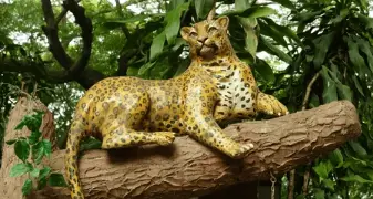 sitting.webp