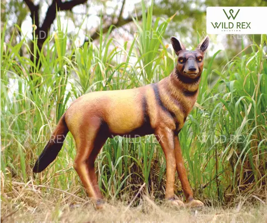 Wolf.webp