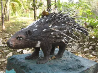 Porcupine.webp