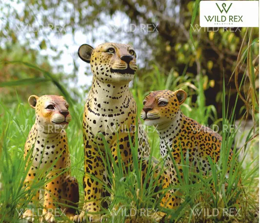 Leopard Cubs 